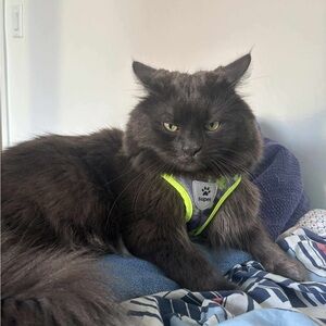 Meet your Posher, Liliana